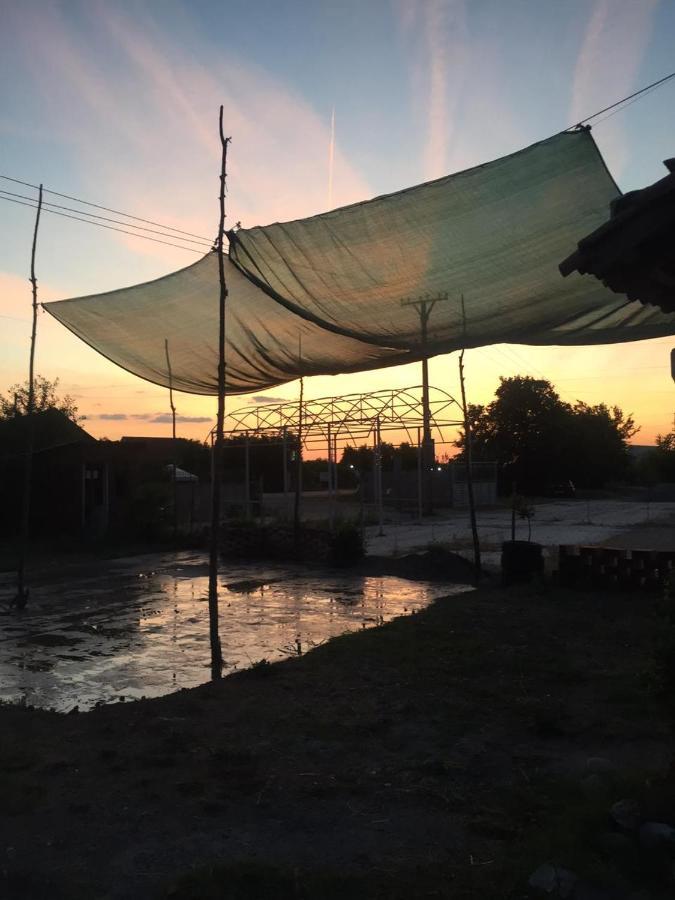 Anza Camping Shkodër 외부 사진