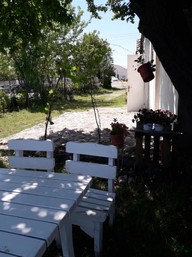 Anza Camping Shkodër 외부 사진